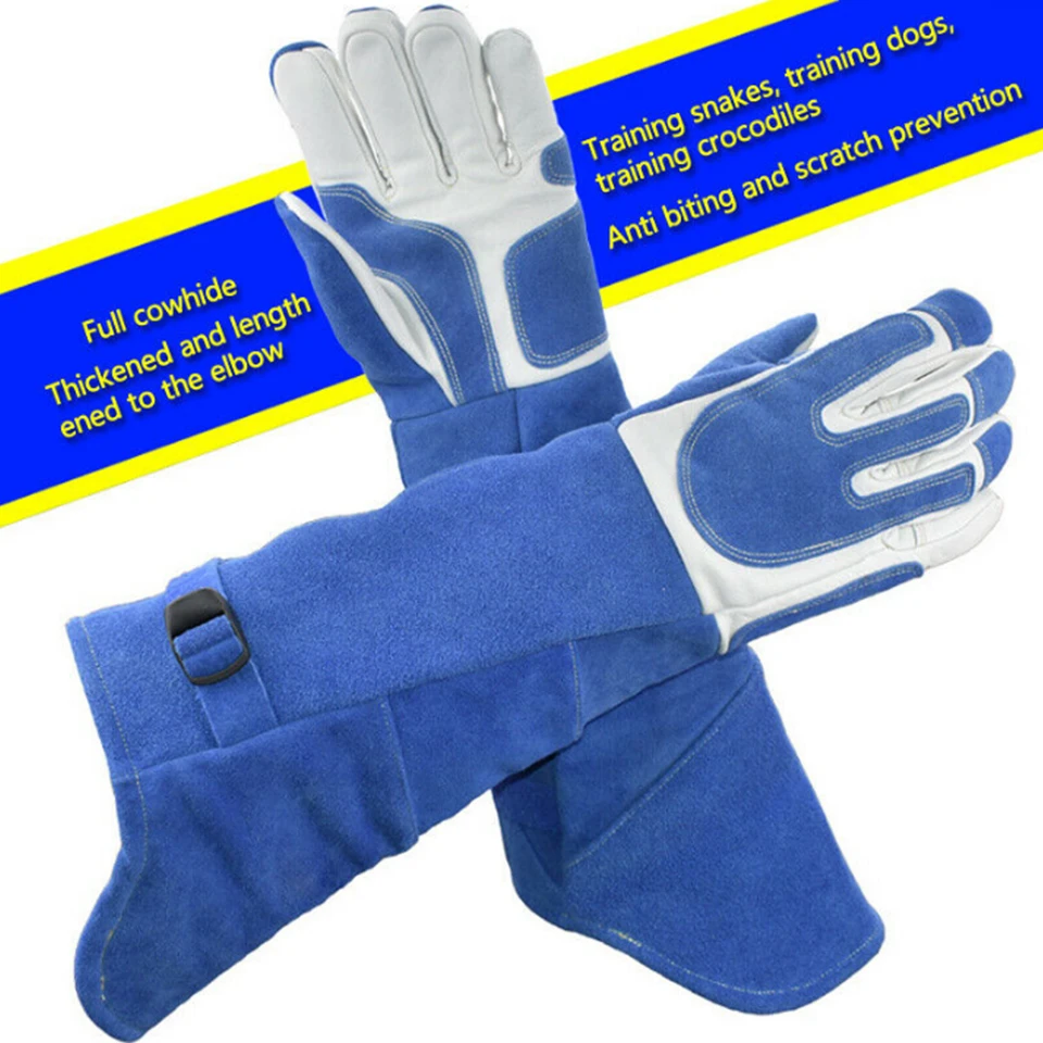 Leatherwork Training - Leather Animal Handling Training Pet Gloves