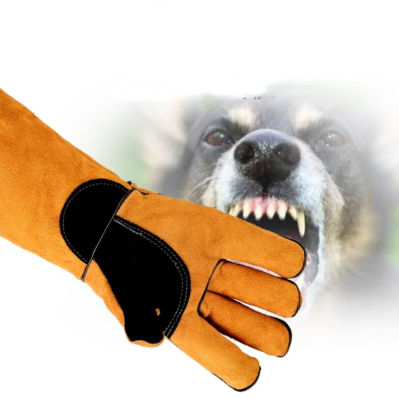 Pet Gloves Cowhide Leather Ant - Leatherwork Training のレビューと価格