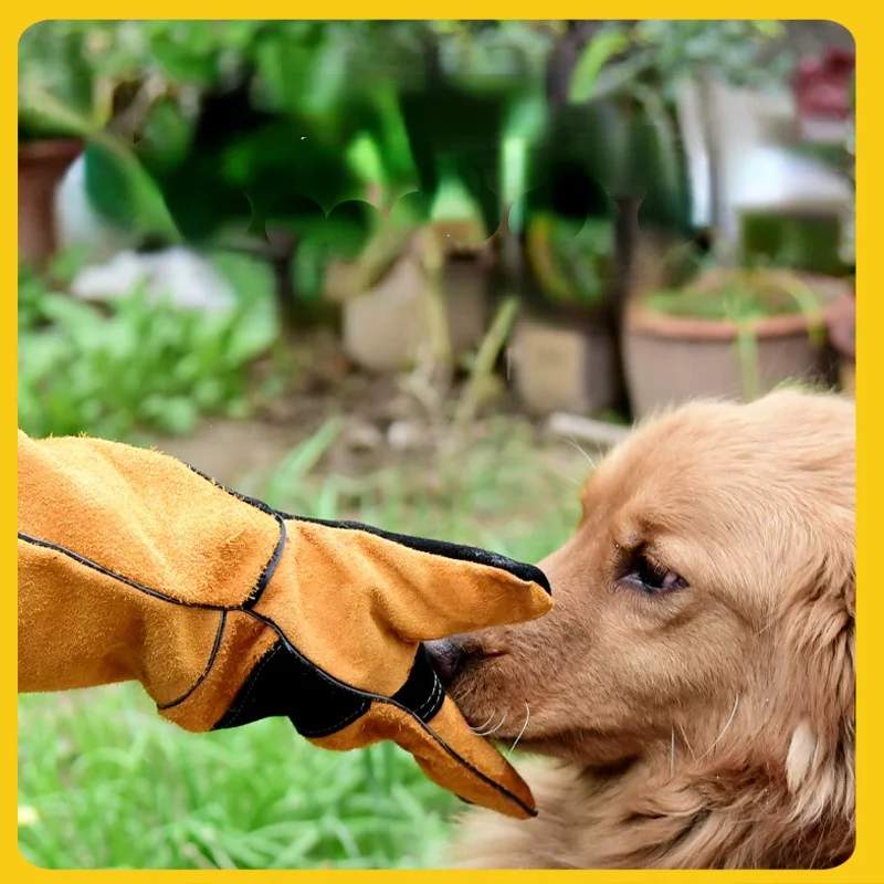 Pet Gloves Cowhide Leather Ant - Leatherwork Training のレビューと価格