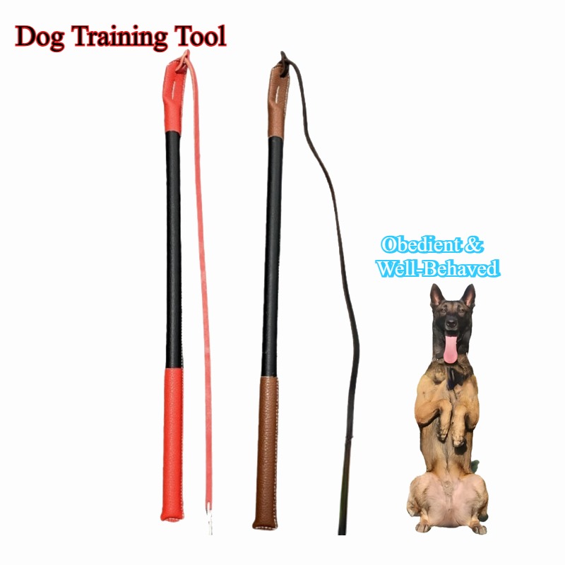Leather Crack Whip - Dog Train - Leatherwork Training のレビューと価格
