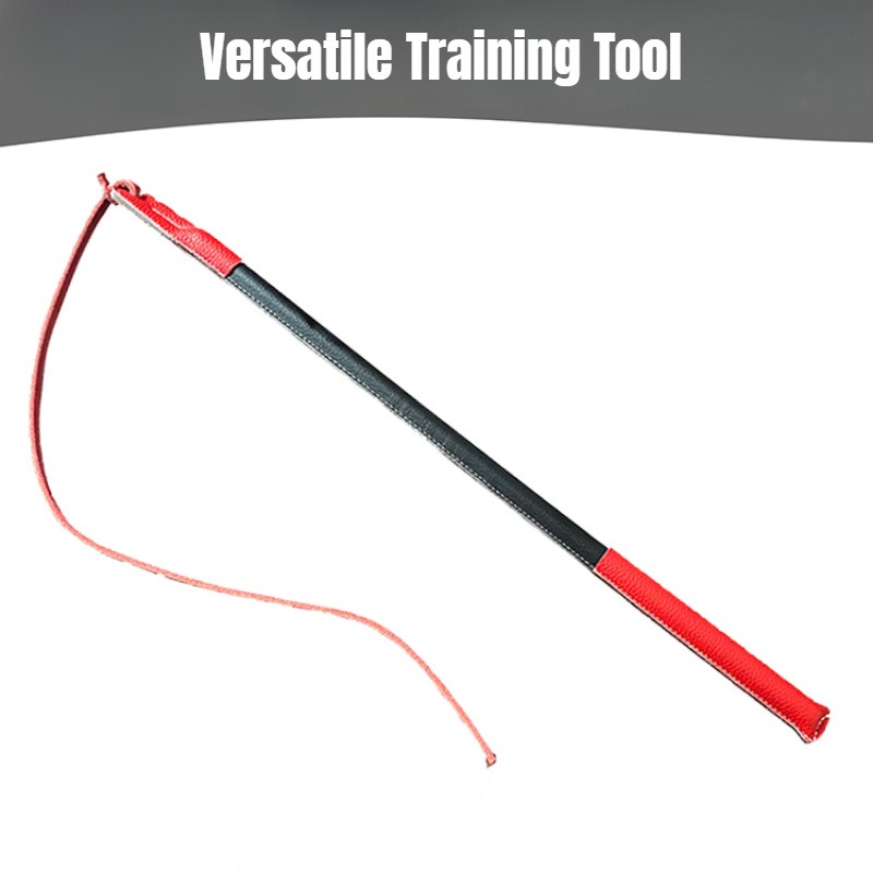 Leather Crack Whip - Dog Train - Leatherwork Training のレビューと価格