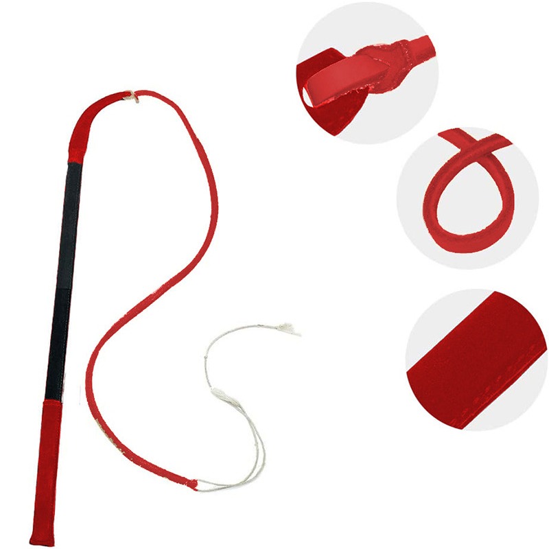 Leather Crack Whip - Dog Train - Leatherwork Training のレビューと価格