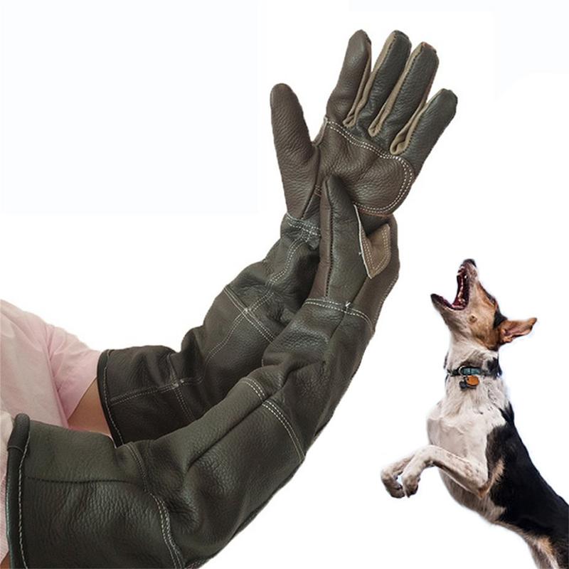 Pet Gloves Cowhide Leather Ant - Leatherwork Training のレビューと価格