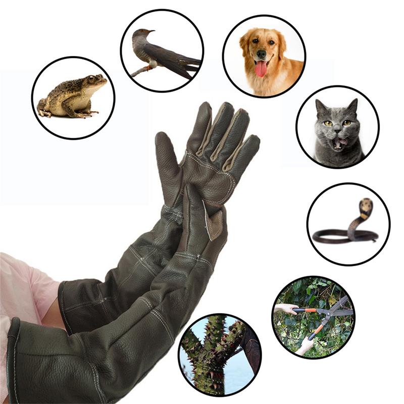 Pet Gloves Cowhide Leather Ant - Leatherwork Training のレビューと価格