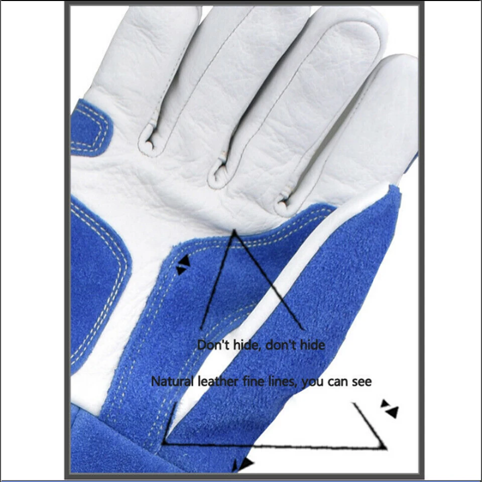 Leather Animal Handling Traini - Leatherwork Training のレビューと価格