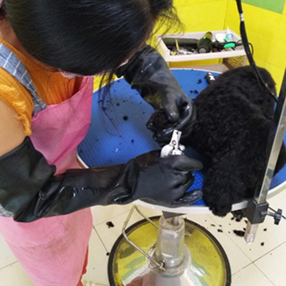 Pet Gloves Leather Anti-graspi - Leatherwork Training のレビューと価格